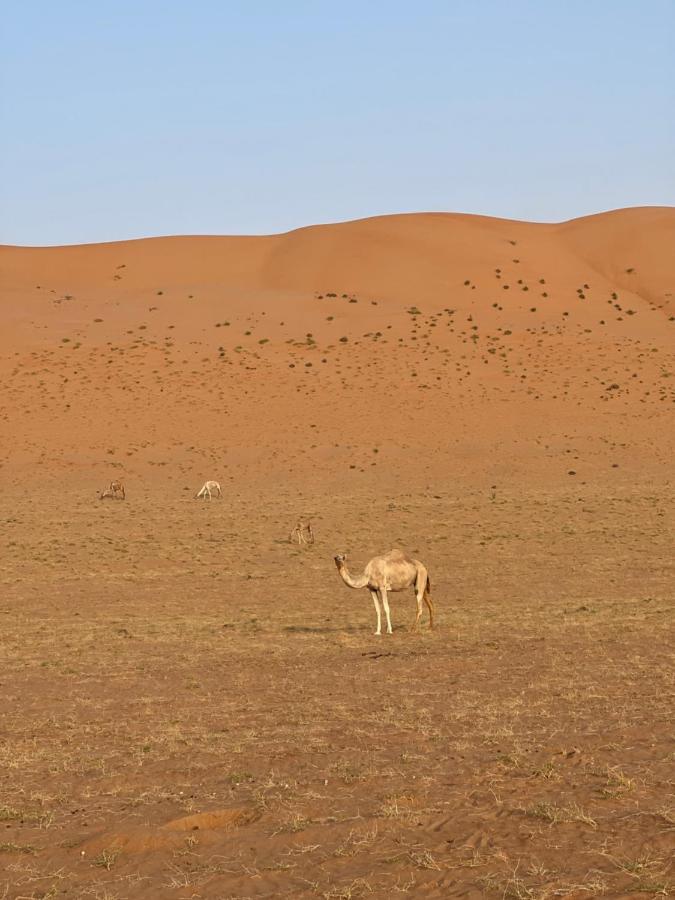 Thousand Stars Desert Camp Badīyah エクステリア 写真