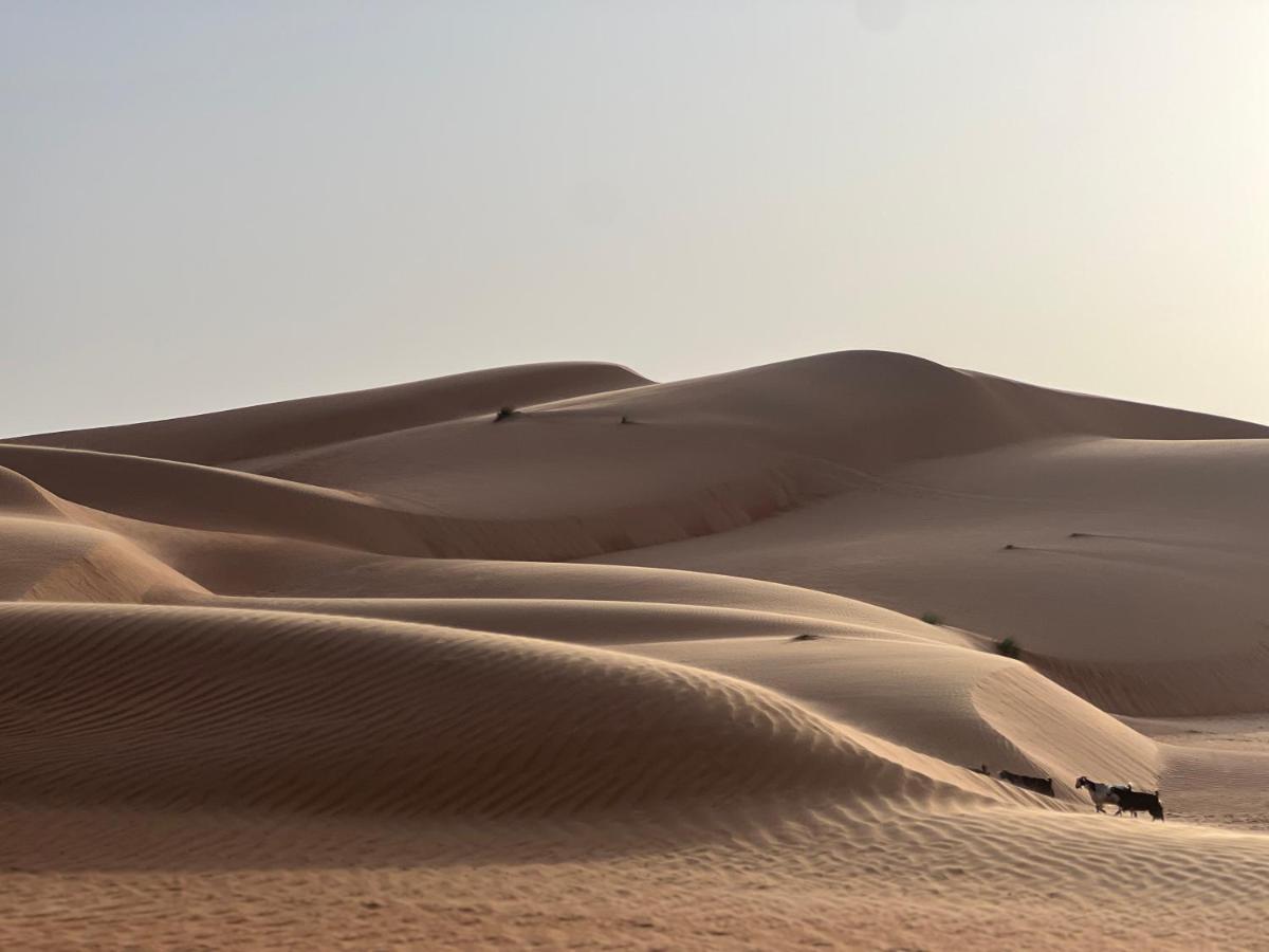 Thousand Stars Desert Camp Badīyah エクステリア 写真
