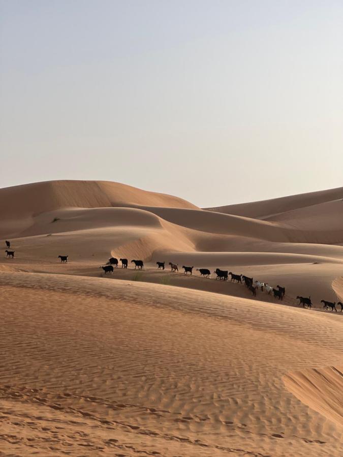 Thousand Stars Desert Camp Badīyah エクステリア 写真