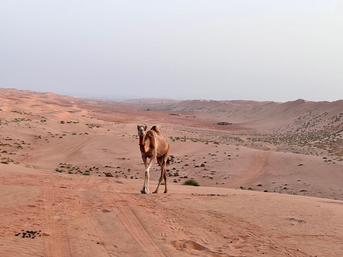 Thousand Stars Desert Camp Badīyah エクステリア 写真