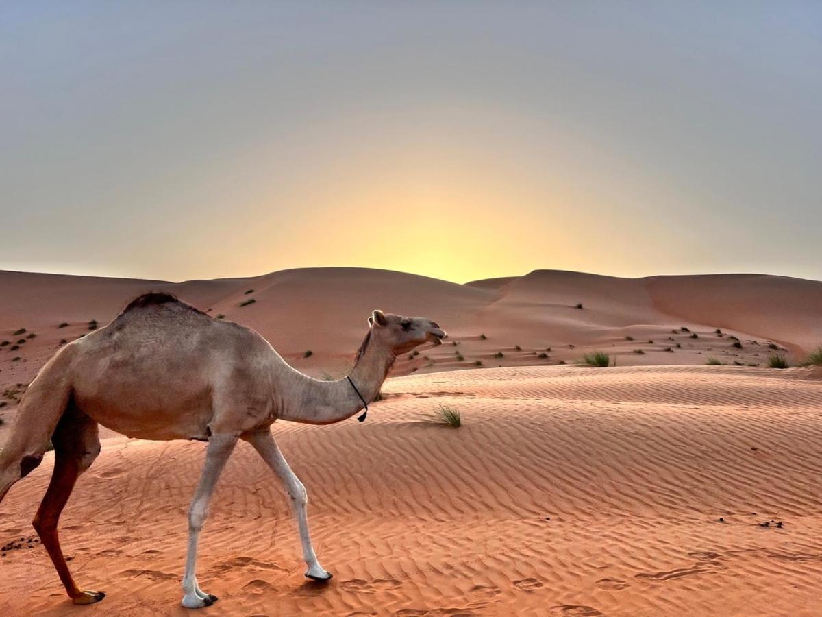 Thousand Stars Desert Camp Badīyah エクステリア 写真
