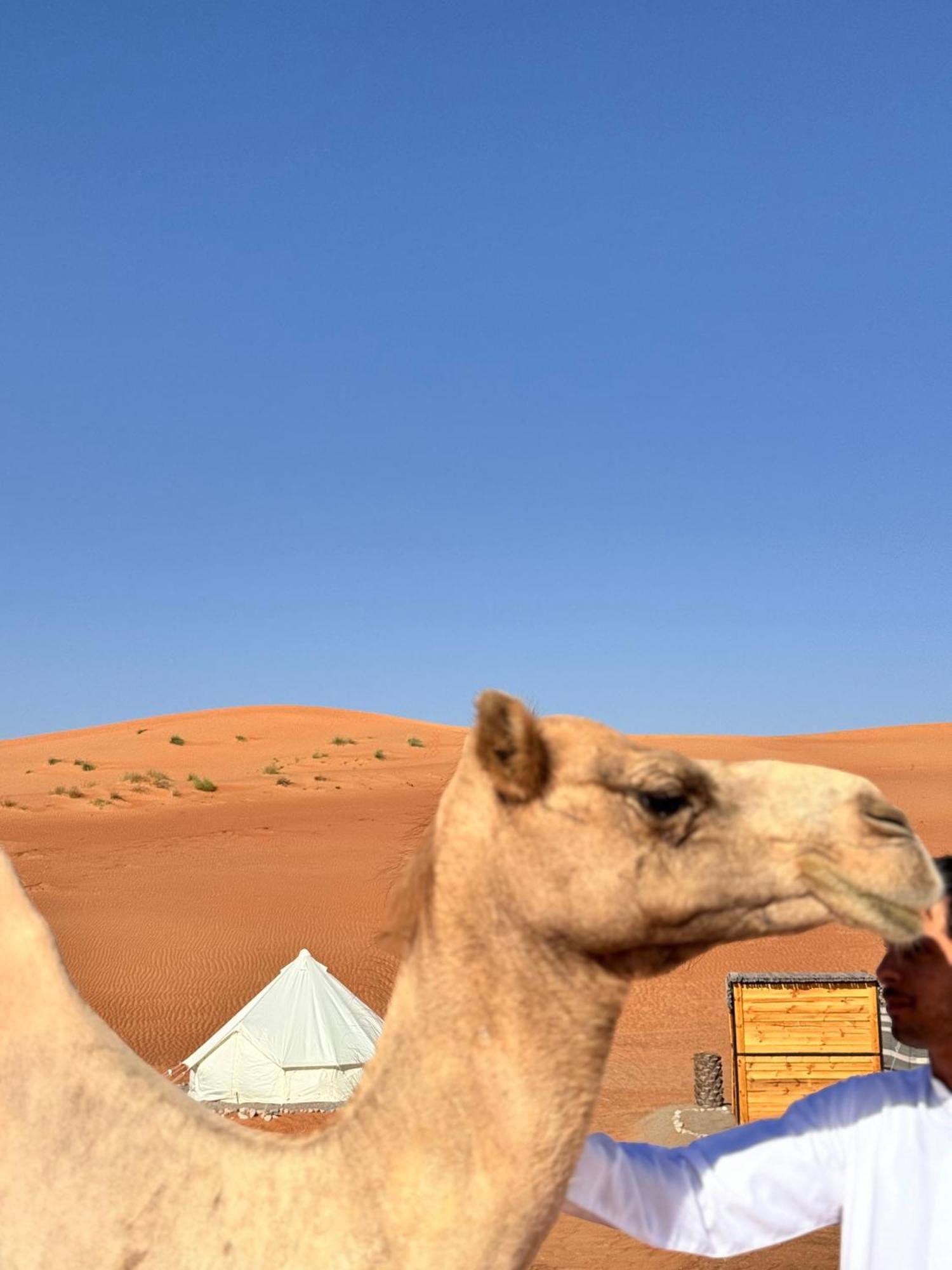 Thousand Stars Desert Camp Badīyah エクステリア 写真